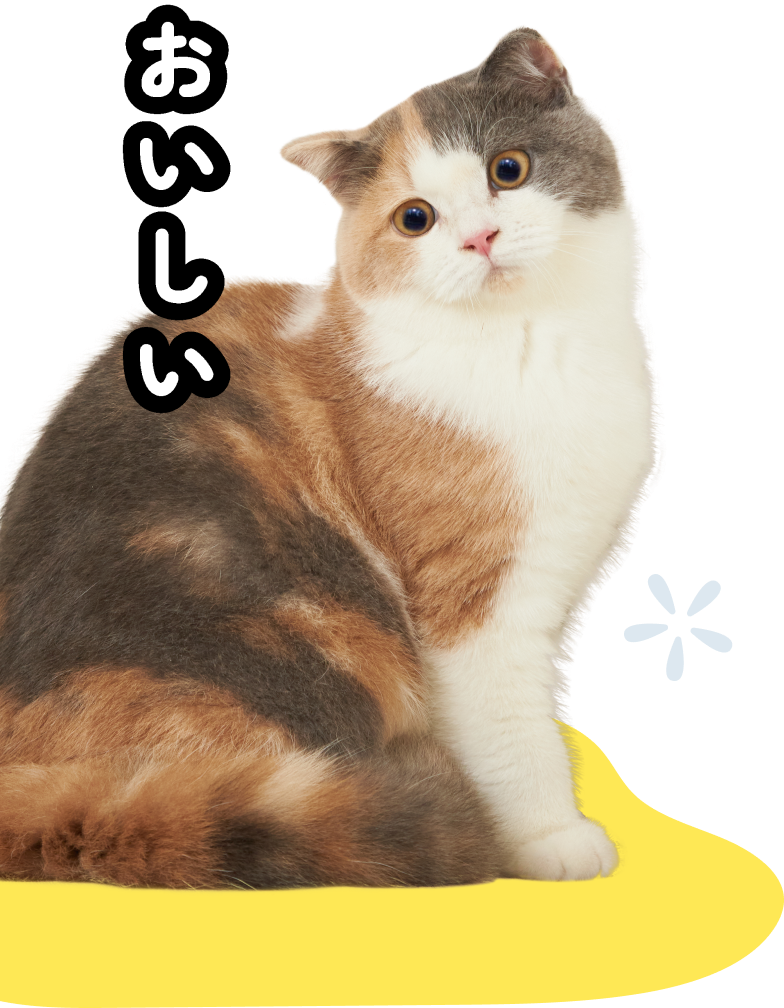 Okiko Okiko