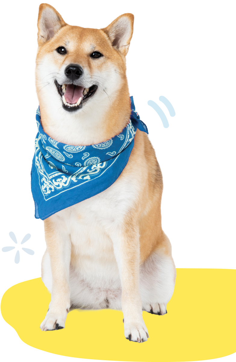 Okiko Okiko